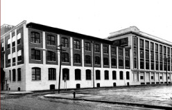 Wayne Knitting Mills